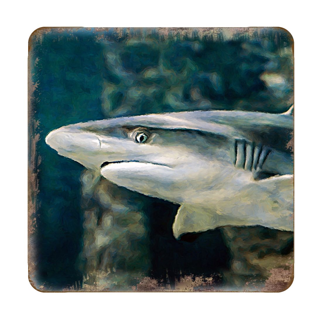 Picture of Nature Wonders 95324C-S4 4 x 4 in. Shark Coastal Wooden Cork Coasters Gift - Set of 4