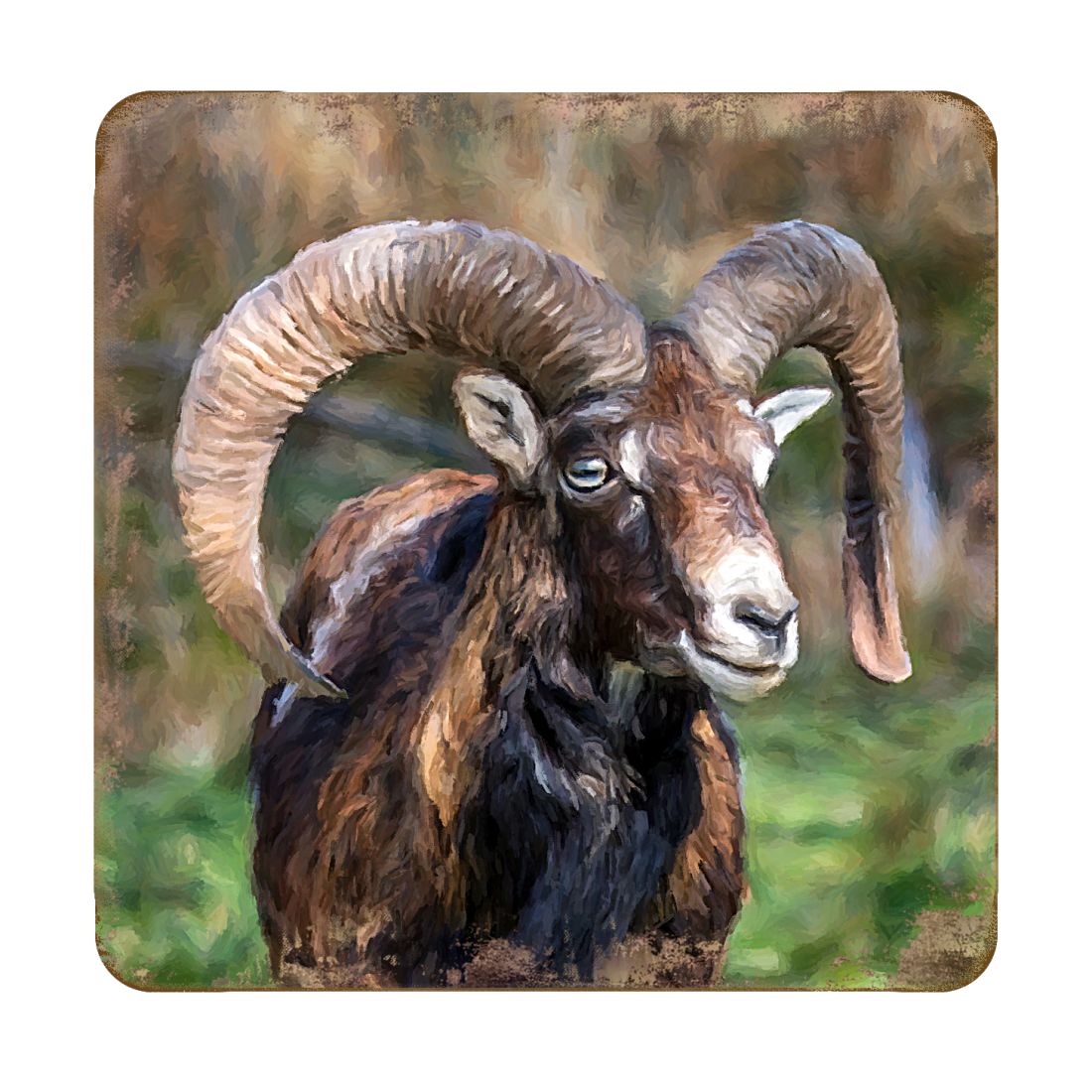 Picture of Nature Wonders 95369C-S4 4 x 4 in. Mountain Goat Wooden Cork Coasters Gift - Set of 4