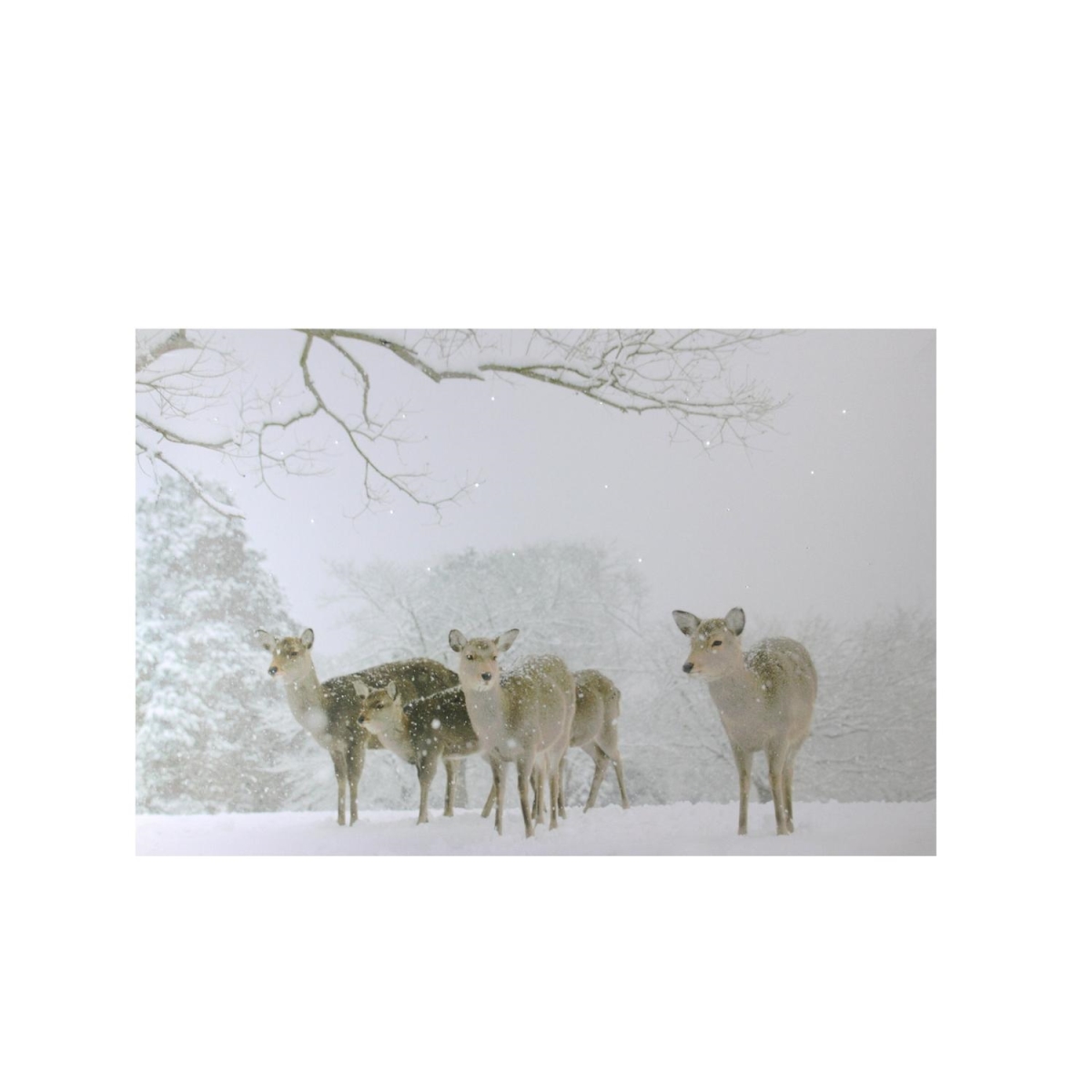 32621259 Small Fiber Optic Winter With Deer Canvas Wall Art