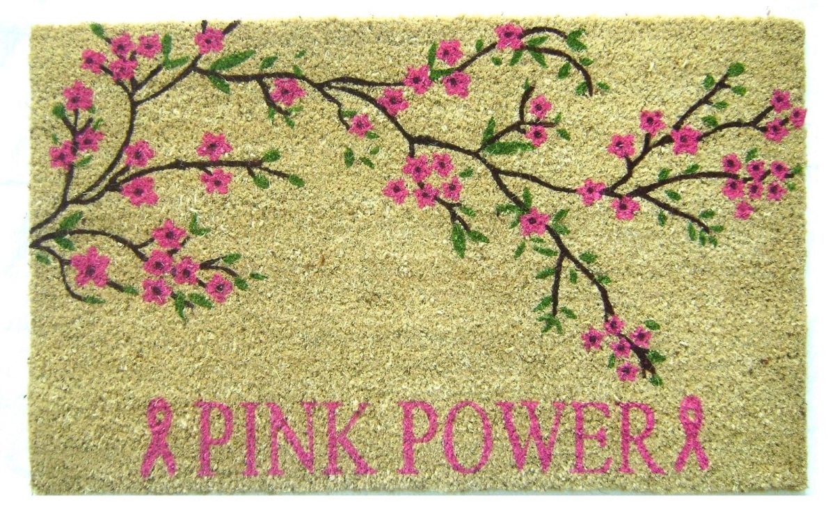 G343 Pink Power 18 X 30 In. Pvc Back Power Doormat - Pink