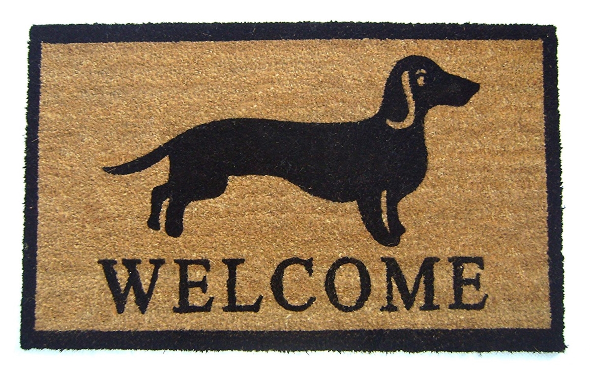 G302 Dog Wel 18 X 30 In. Pvc Backed Dog Welcome Doormat