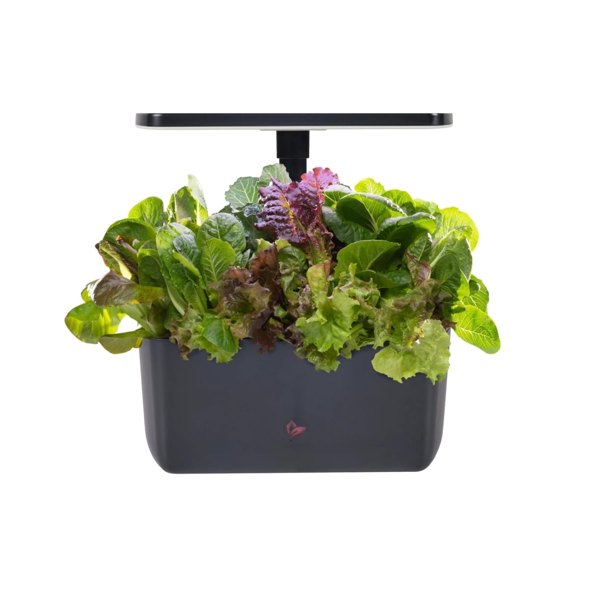 tek NT80396 UNO1RC AeroGarden Harvest 2.0, Indoor Garden Hydroponic System with LED Grow Light, Holds Up to 6 AeroGarden Pods, Charcoal