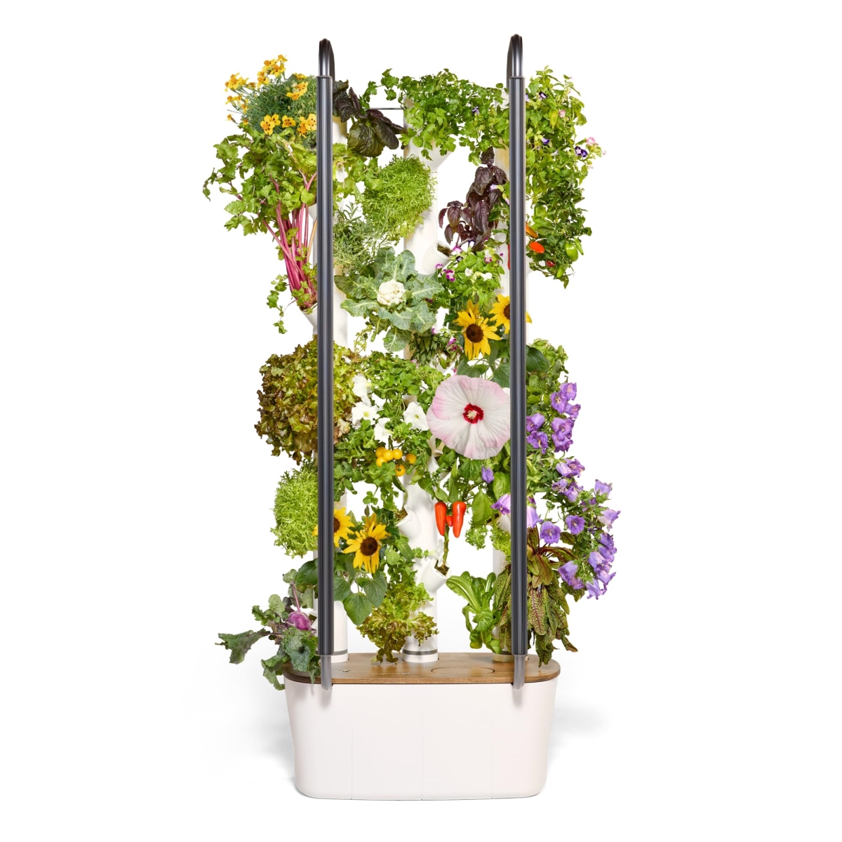 NT86309 Gardyn 4.0 Hydroponics Growing System Kit & Vertical Garden Planter, 30 Non-GMO Indoor Plants Smart Garden