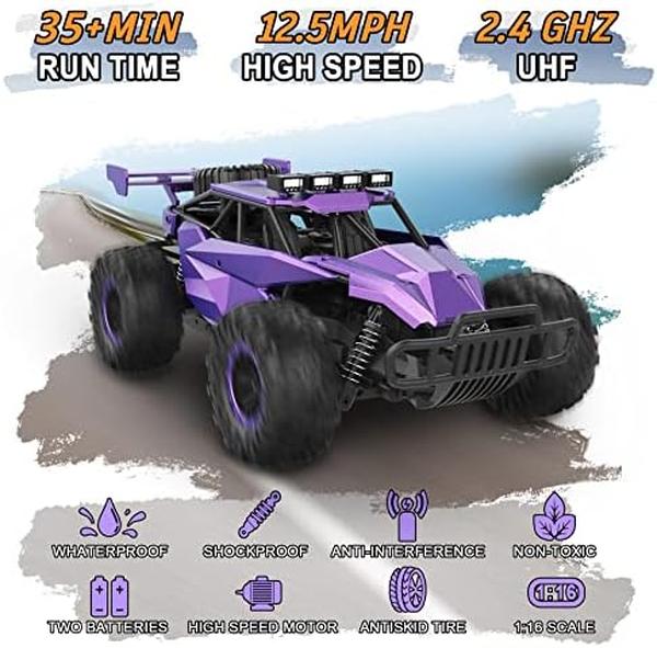 NM56558 1-16 Scale Purple Remote Control Car