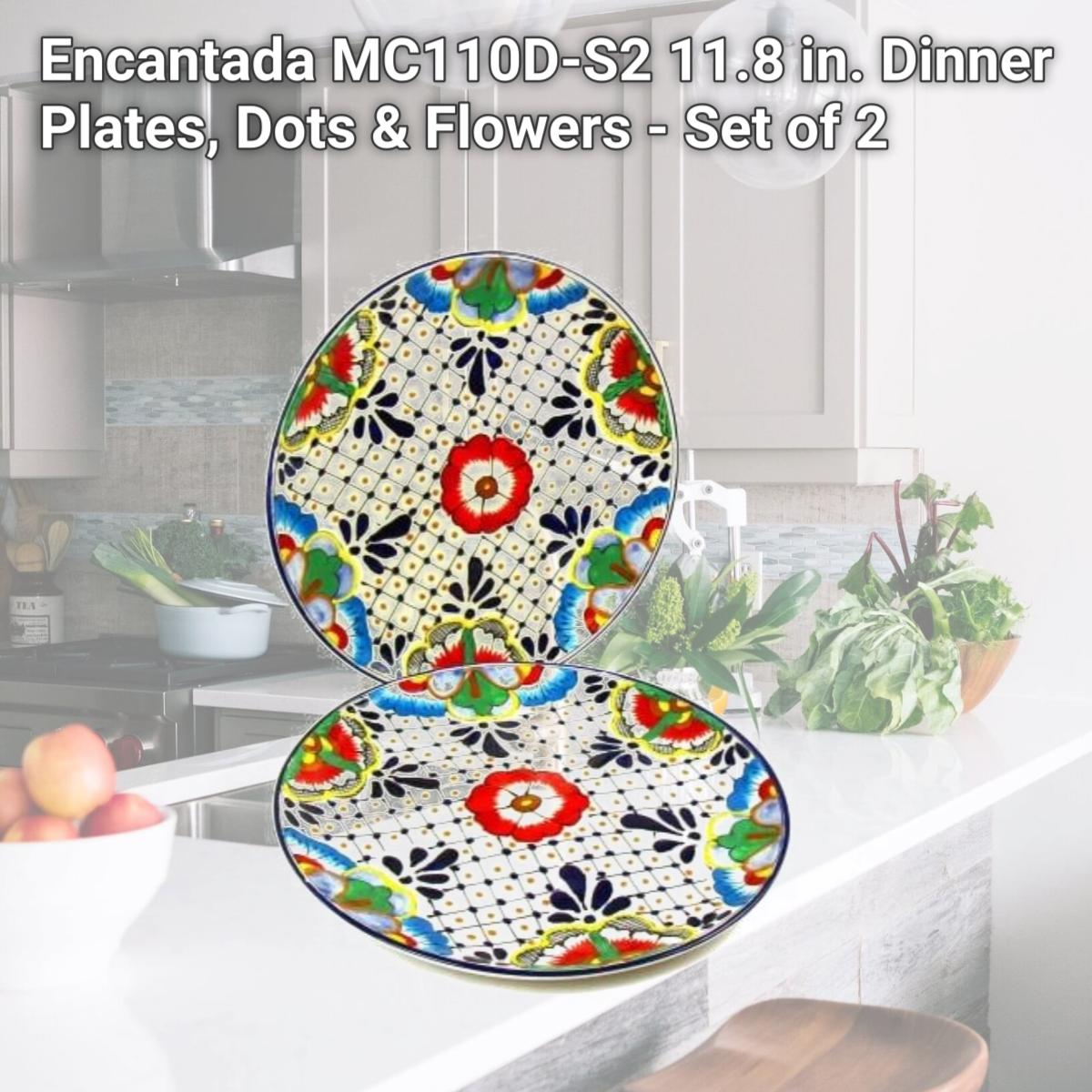 Picture of Encantada MC110D-S2 11.8 in. Dinner Plates, Dots & Flowers - Set of 2