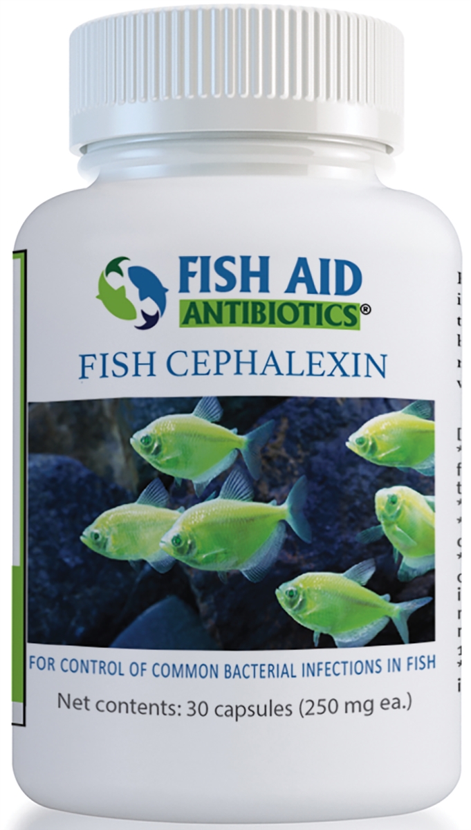 806802774282 250 Mg Fish Flex Cephalexin Capsules - 30 Count