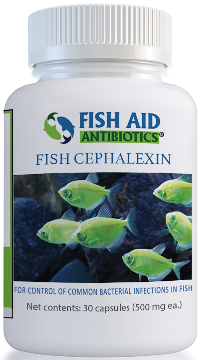 806802774299 500 Mg Fish Flex Forte Cephalexin Capsules - 30 Count