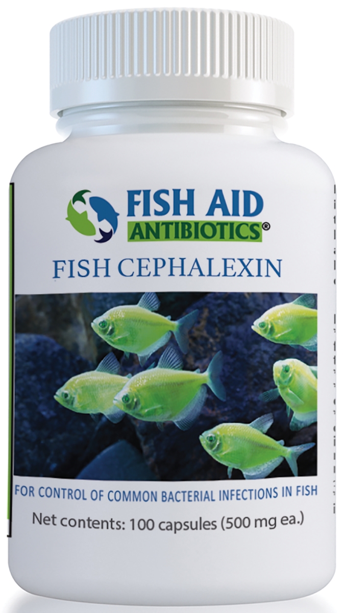 806802774312 500 Mg Fish Flex Forte Cephalexin Capsules - 100 Count