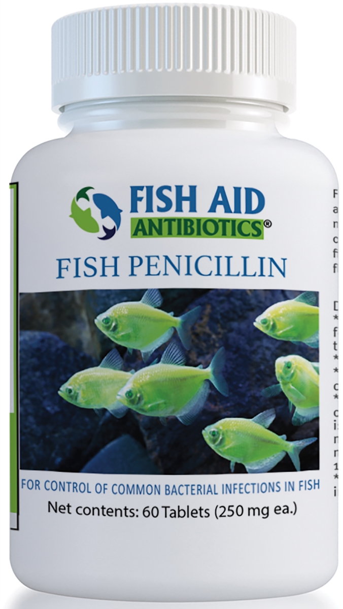 806802774343 250 Mg Fish Penicillin Tablets - 60 Count