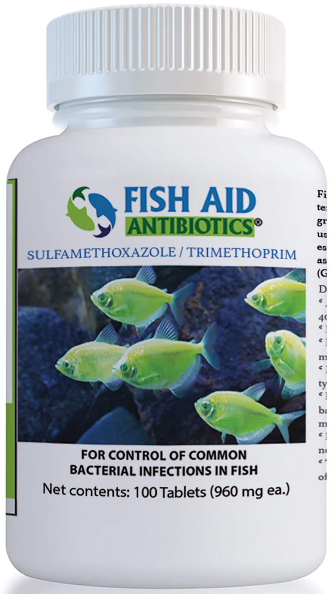 806802774404 960 Mg Fish Sulfa Forte Tablets - 100 Count