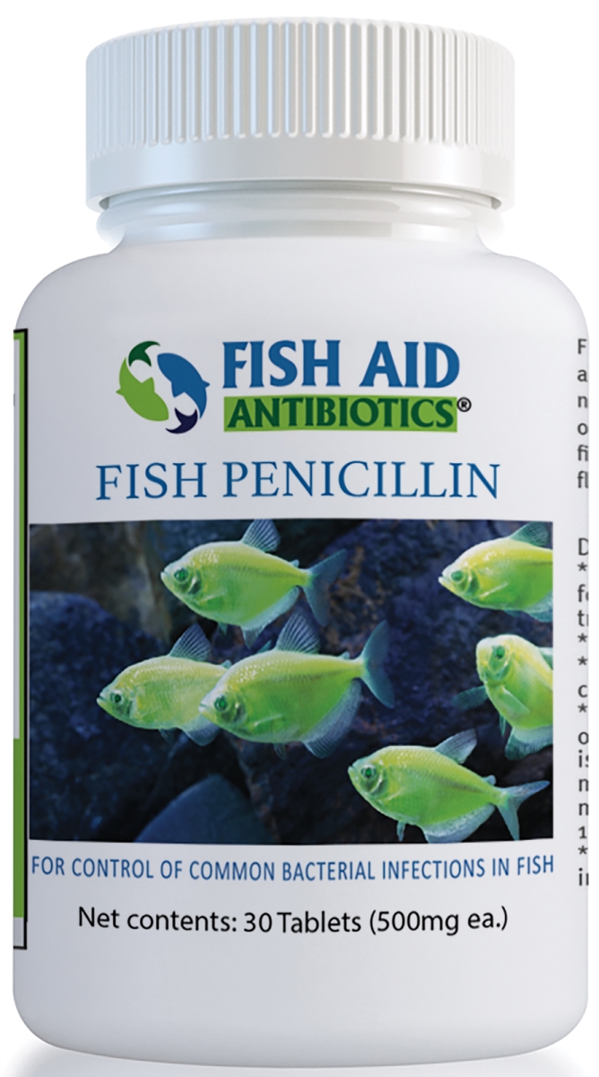 806802774428 500 Mg Fish Forte Penicillin Tablets - 30 Count