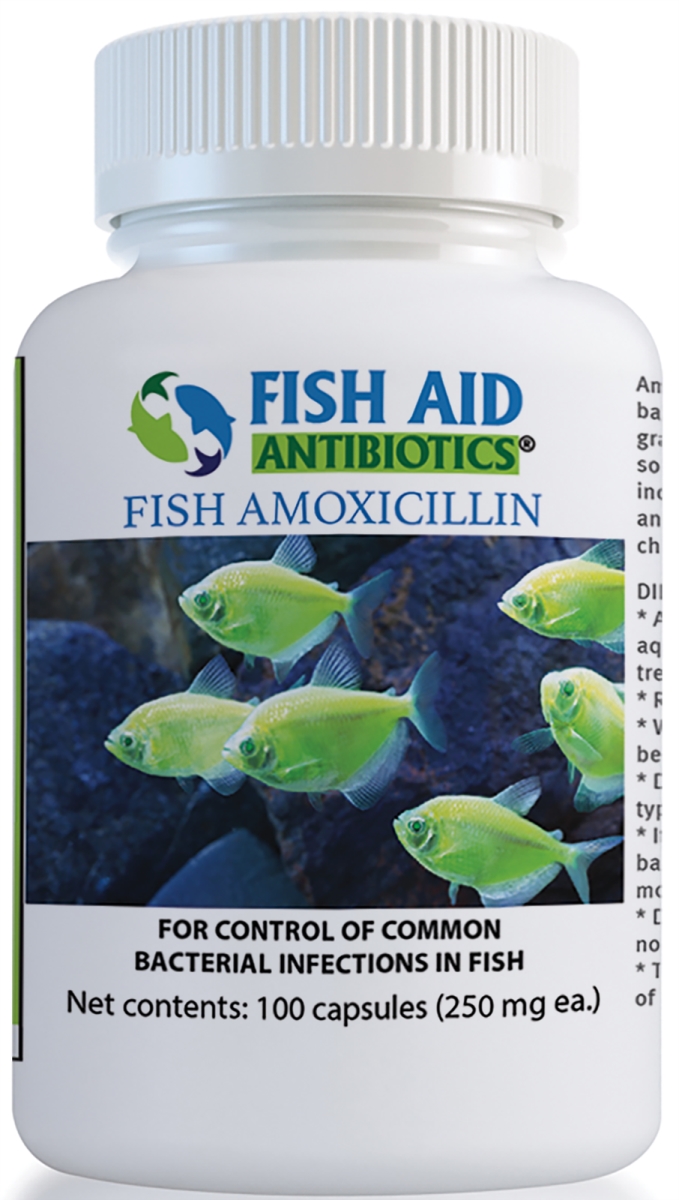 806802774435 250 Mg Fish Mox Amoxicillin Tablets - 100 Count