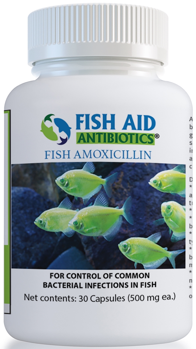 806802774459 500 Mg Fish Mox Forte Amoxicillin Tablets - 30 Count
