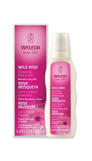 Khch00974121 Wild Rose Pampering Body Lotion, 6.8 Fl Oz