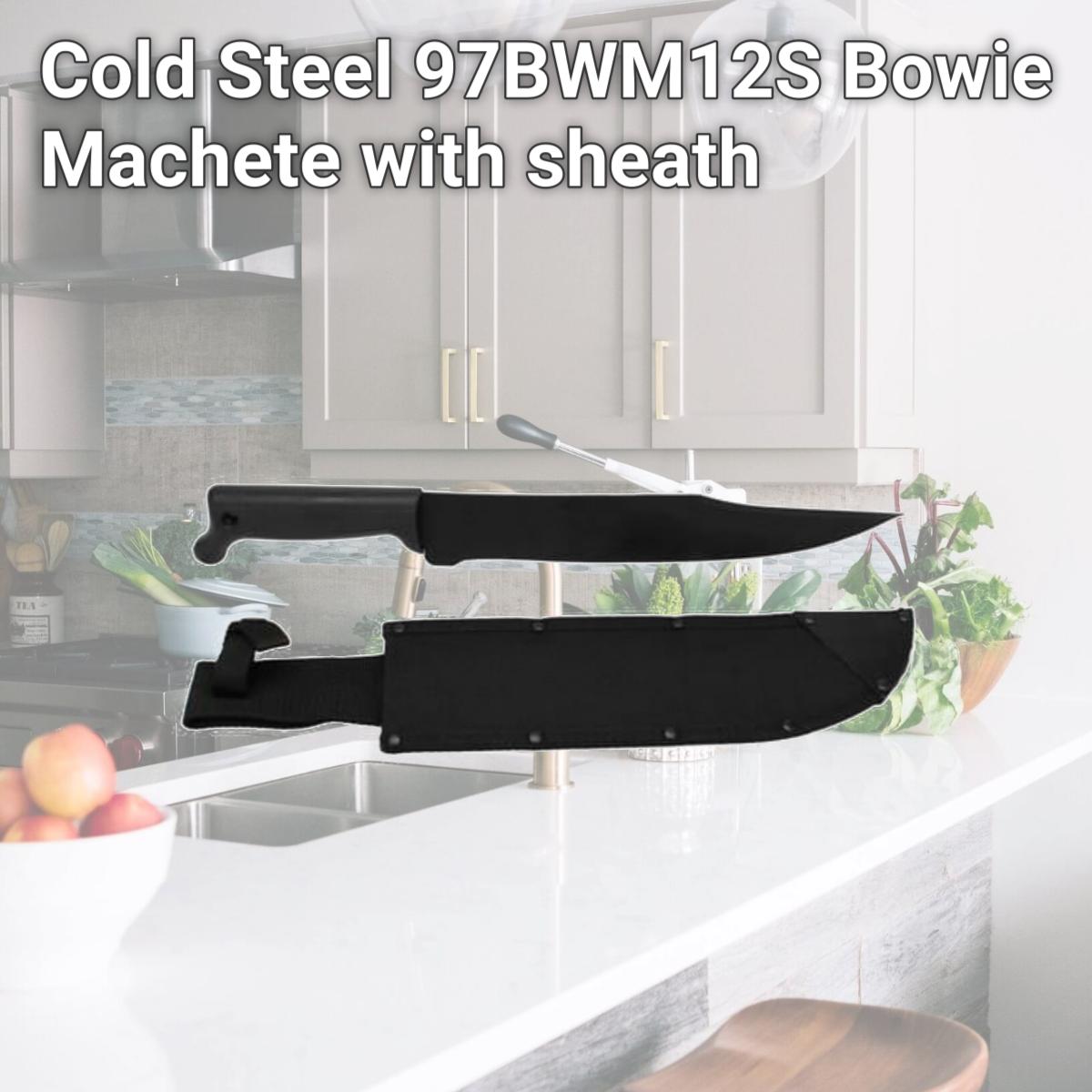 Picture of Cold Steel 97BWM12S Bowie Machete with sheath