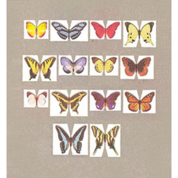 JKM902 Butterfly Kit for Dollhouse Miniature