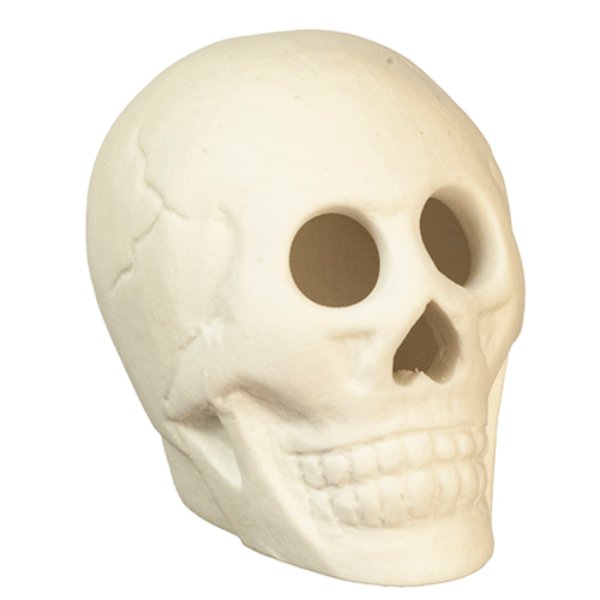 AZG6430 Halloween Skull for Dollhouse Miniature