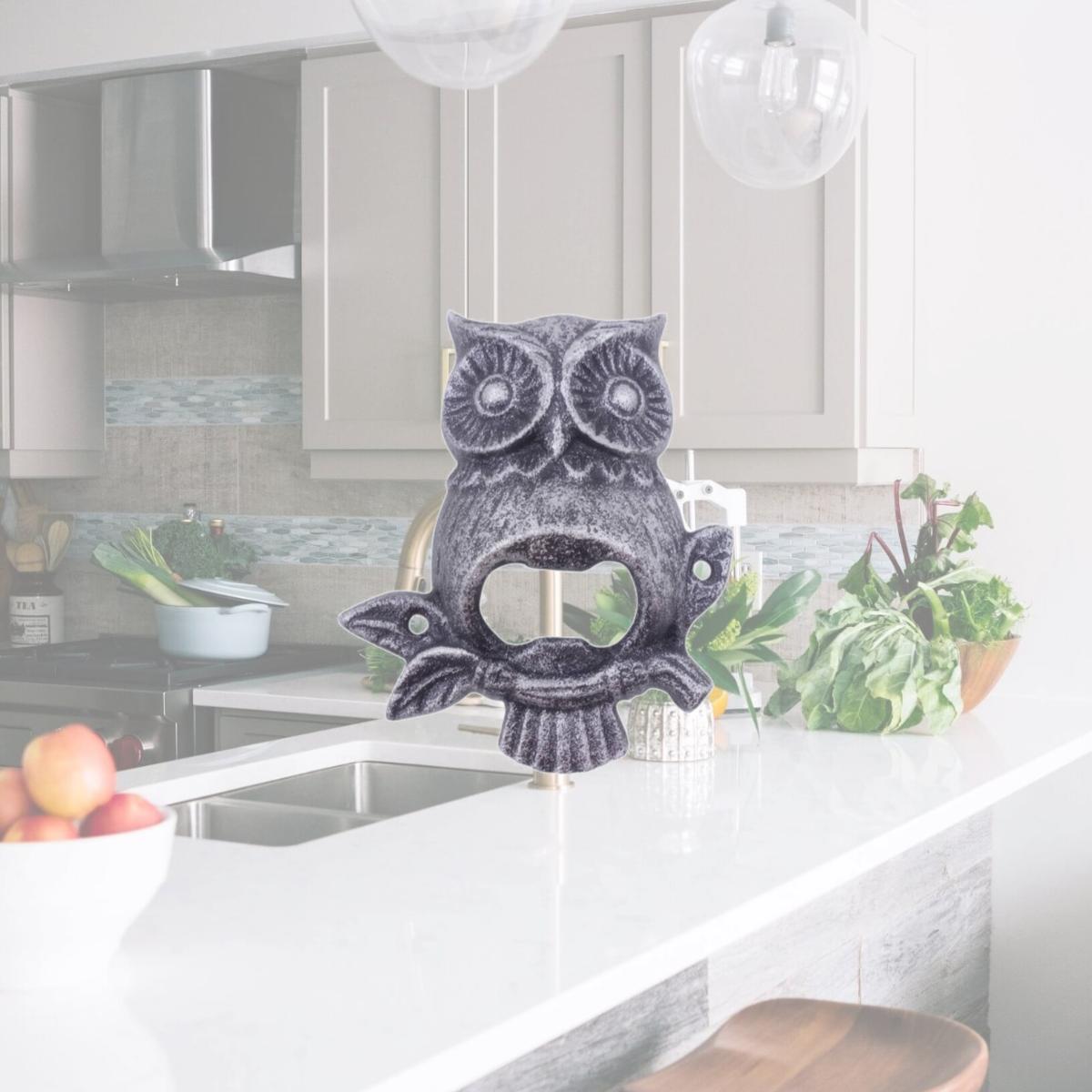 Picture of Handcrafted Model Ships K-9222-Owl-silver 6 x 2 x 2.5 in. Rustic Silver Cast Iron Owl Wall Mounted Bottle Opener