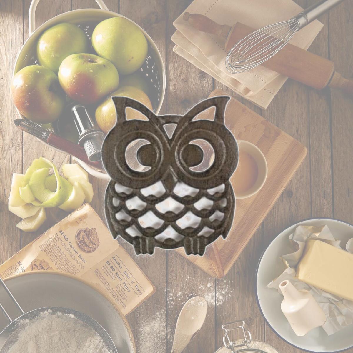 Picture of Handcrafted Model Ships K-0758-Cast-Iron 8 in. Cast Iron Owl Trivet