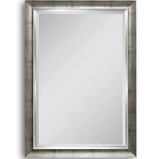 8037 29.5 X 41.5 In. Brushed Champagne Mirror