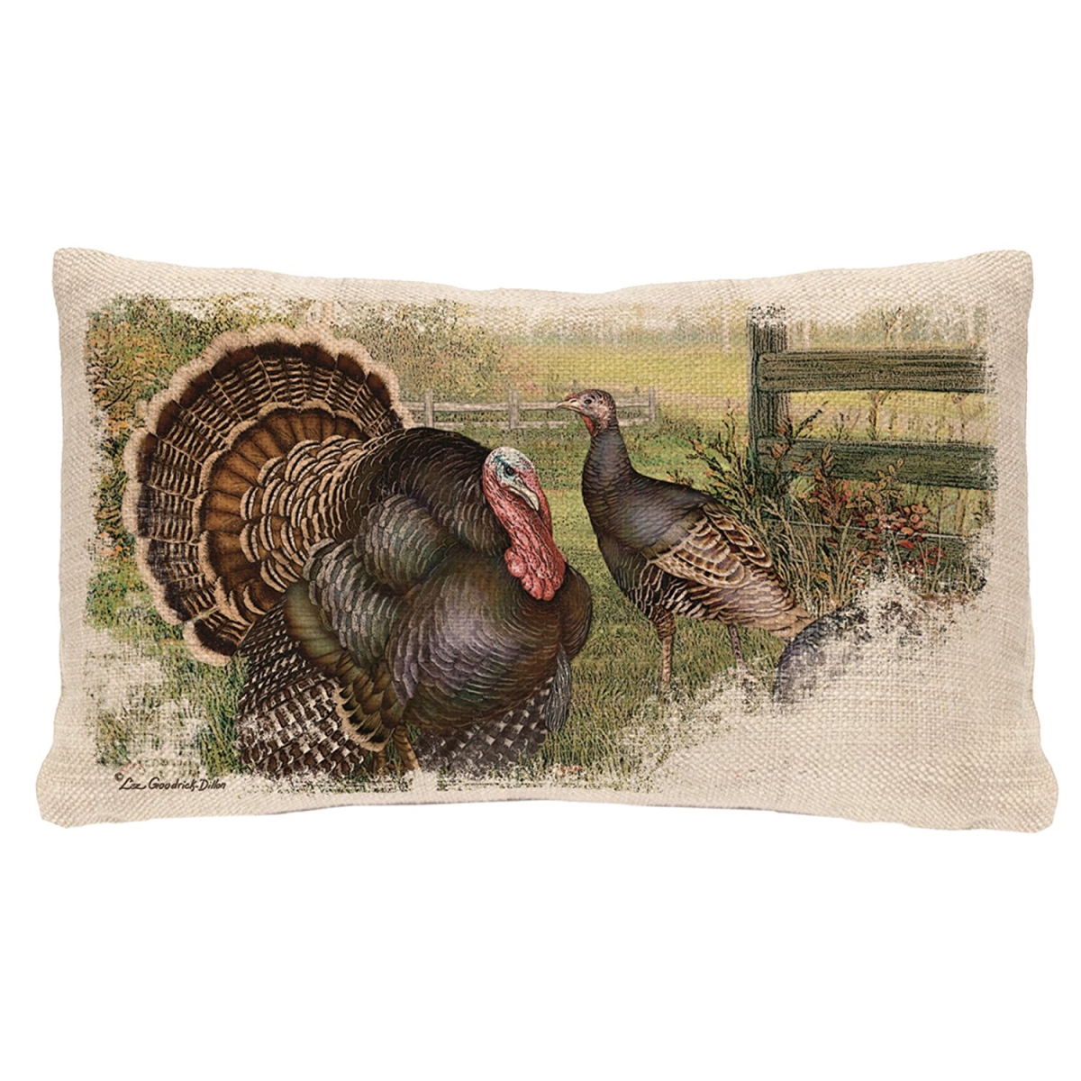 12 X 20 In. Wild Turkey Pillow - Natural