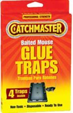 76977700 Rat & Mouse Glue Traps Tray - Pack Of 2