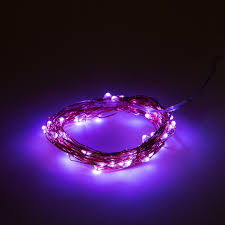 Hometown Evolution 16.5 Ft. Battery Powered Micro Led On Copper Wire Fairy Lights - Purple
