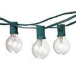 Hometown Evolution G40cl25g 25 Ft. Outdoor String Lights G40 Clear 1.6 In. Bulbs And Green Cord - Set Of 25
