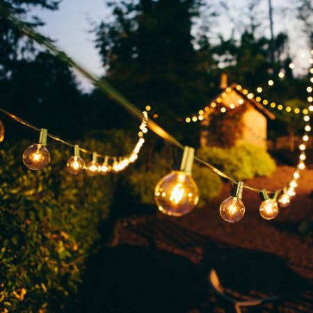 Hometown Evolution G50cl25g 25 Ft. Outdoor String Lights - Set Of 25 G50 Clear 2 In. Bulbs And Green Cord