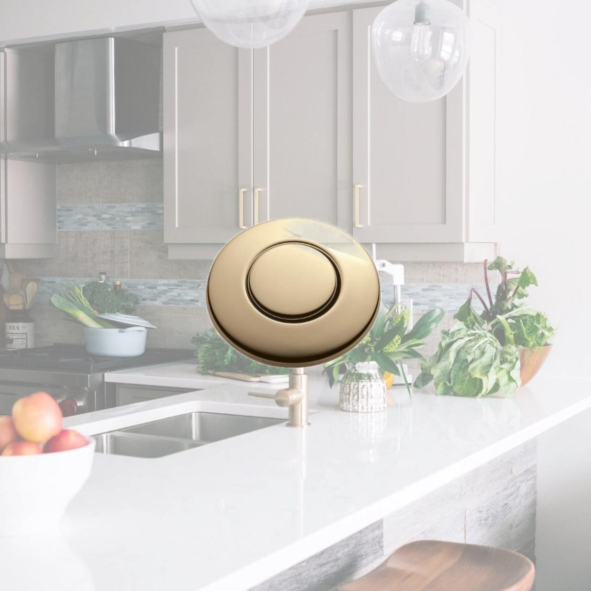 Picture of InSinkErator STC-FG Sink Top Mounted Air Switch for Garbage Disposal