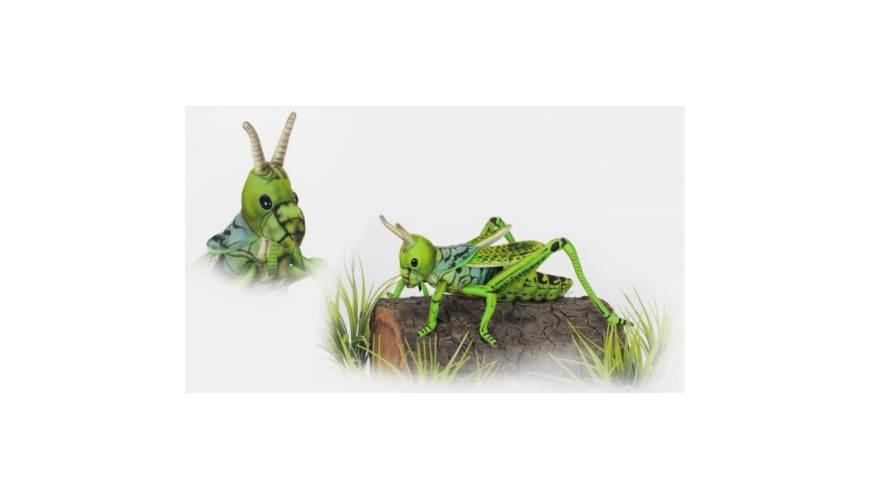 Grasshopper Plush Toy, Green, 13.8 In. L - Set Of 3