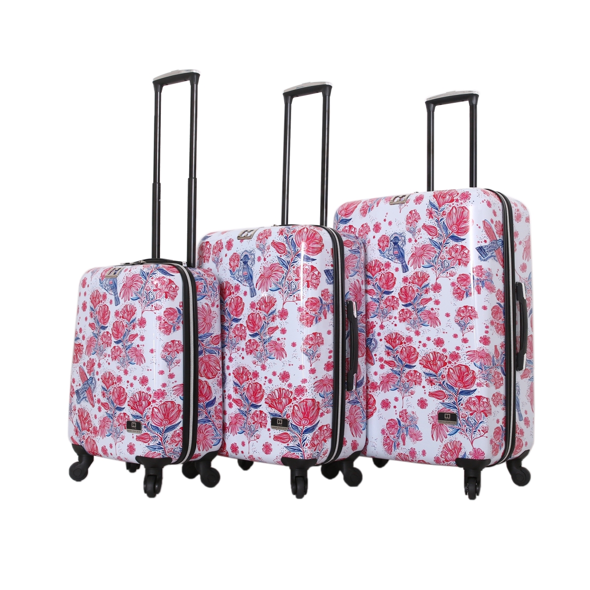 H1002-3pc-cflnn Car Pintos Fly Floral Luggage Set, Multicolor - 3 Piece