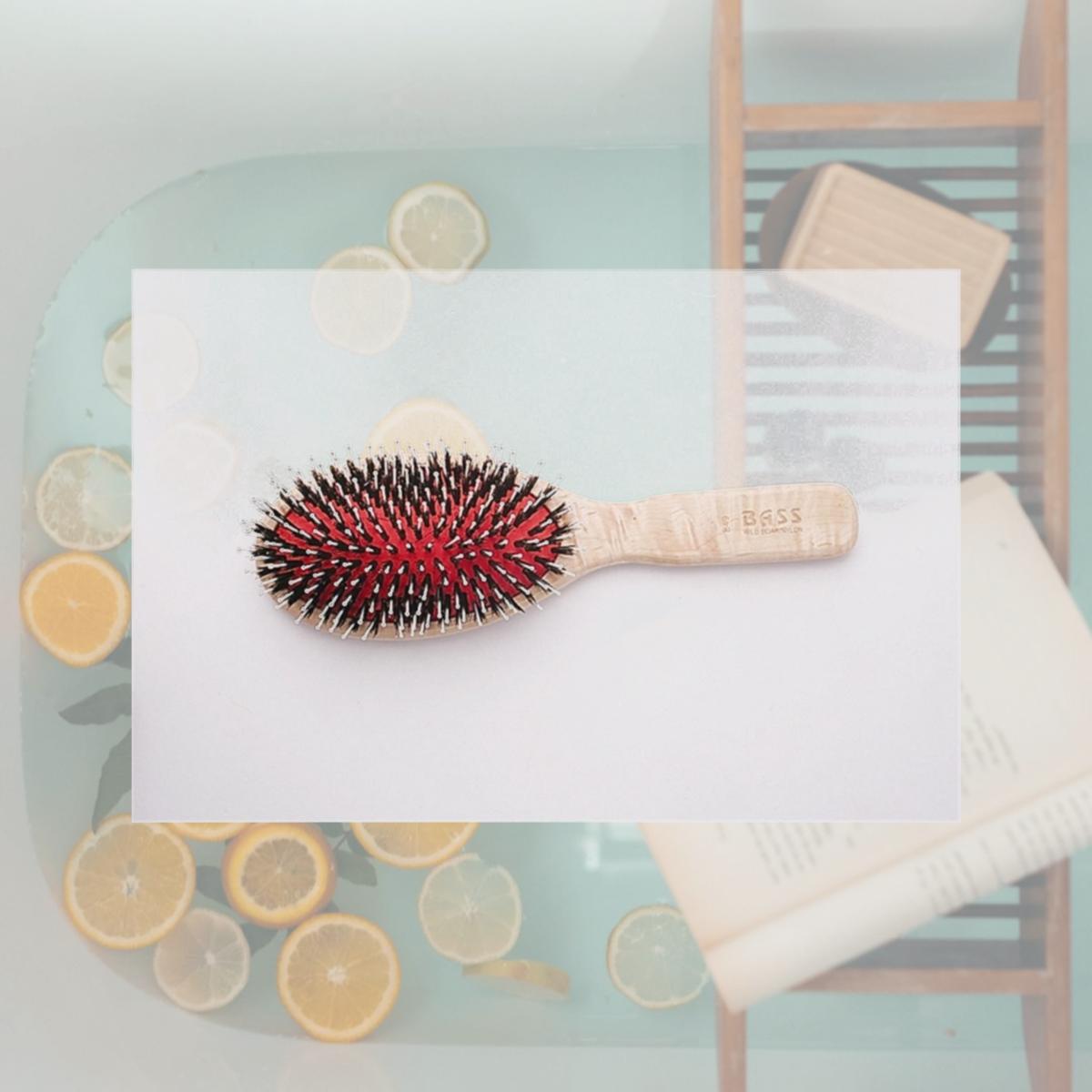 Picture of BASS 849I Brush-Hair-Large-Oval with Bamboo Wood Handles