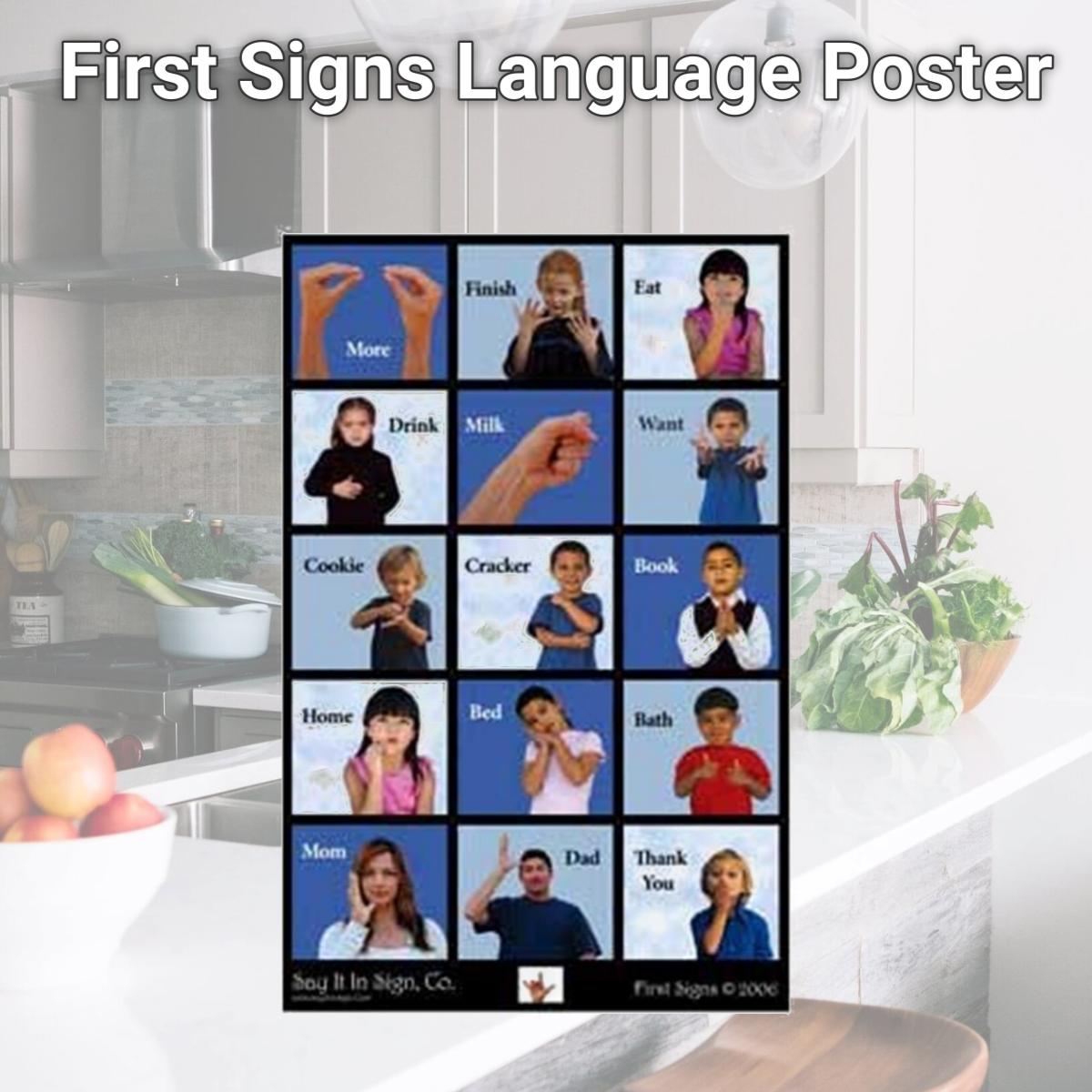 Picture of Cicso Independent N499 First Signs Language Poster