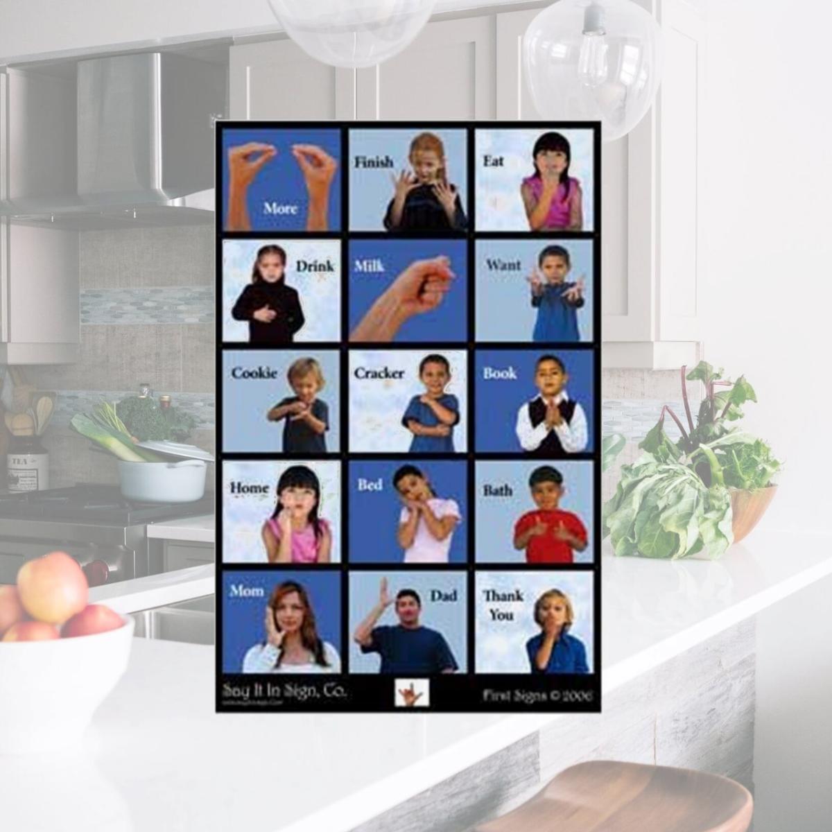Picture of Cicso Independent N499 First Signs Language Poster