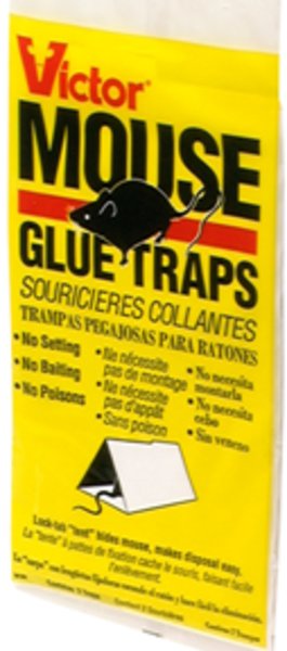 310114400 Mouse & Insect Glue Trap