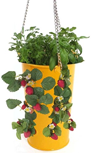 Enameled Galvanized Hanging Strawberry, Floral Planter - Saffron