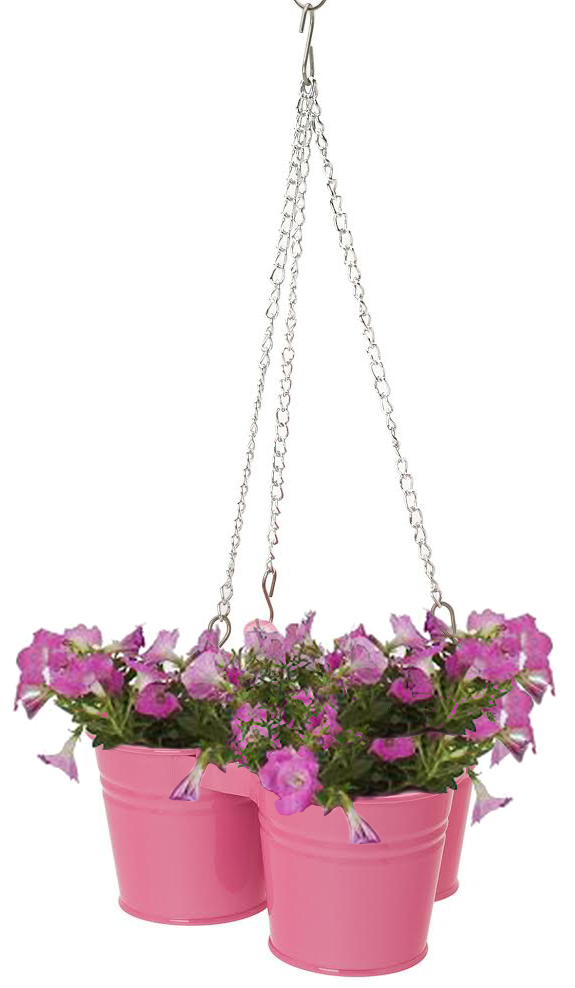 Enameled Galvanized Hanging 3 Planter Unit For 5.5 In. Plants, Hotpink