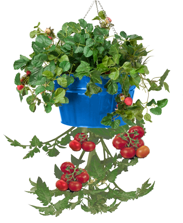 8399e B Enameled Galvanized Hanging Strawberry, Floral Planter - Blue