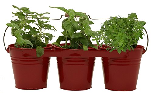 UPC 097893983336 product image for 8333E XR Enameled Galvanized Triple Planter with Wood Handle for 6.5 Pots, Red | upcitemdb.com