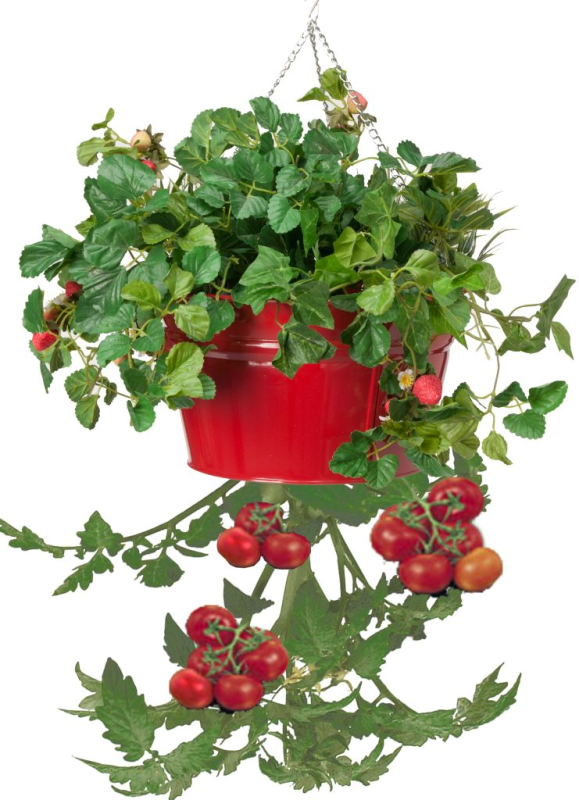 8399e Xr Enameled Galvanized Hanging Strawberry, Floral Planter - Red