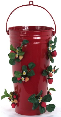 8493E XR Enameled Galvanized Strawberry & Flower Planter, Red