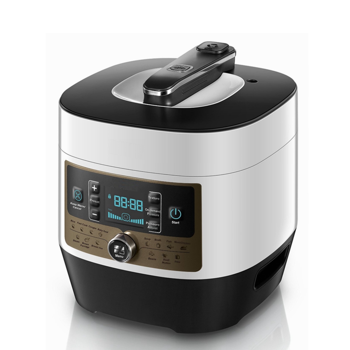 Ecp5014 Multi-function Pressure Cooker