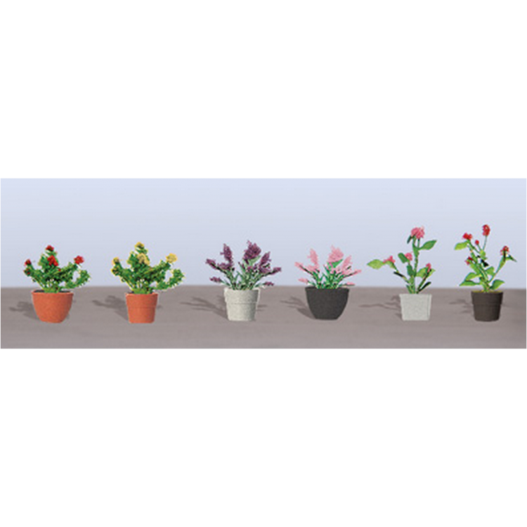 95565 Assorted Potted Flower Plants, Pack Of 6