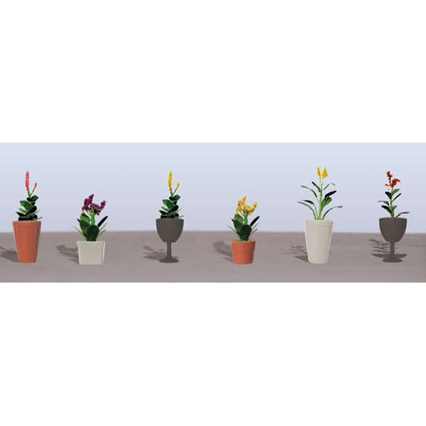 95571 Assorted Potted Flower Plants Set, Pack Of 6