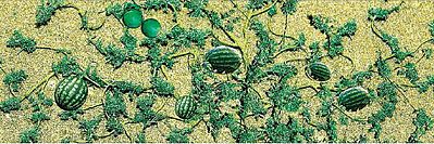 Jtt95576 O Scale Watermelon Patch - Pack Of 4