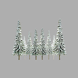 Jtt92008 6 To 10 In. O Snow Spruce - Pack Of 12