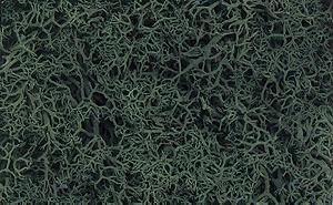 Woo164 Dark Lichen - Green