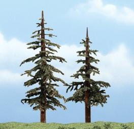 Lodgepole Pines - Pack of 2