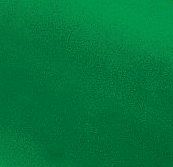 Evg9903 0.01 X 6 X 12 In. Green Transparent Plastic Sheet - Pack Of 2